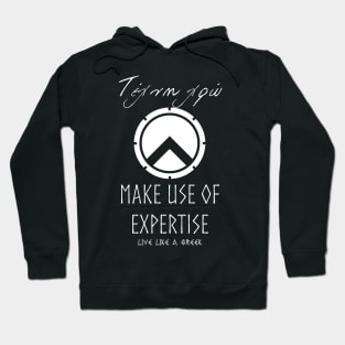 Make use of expertise and live better life ,apparel hoodie sticker coffee mug gift for everyone Hoodie